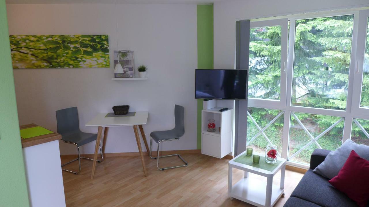 Appartement Schultz - Gruene Aue Braunlage Eksteriør billede